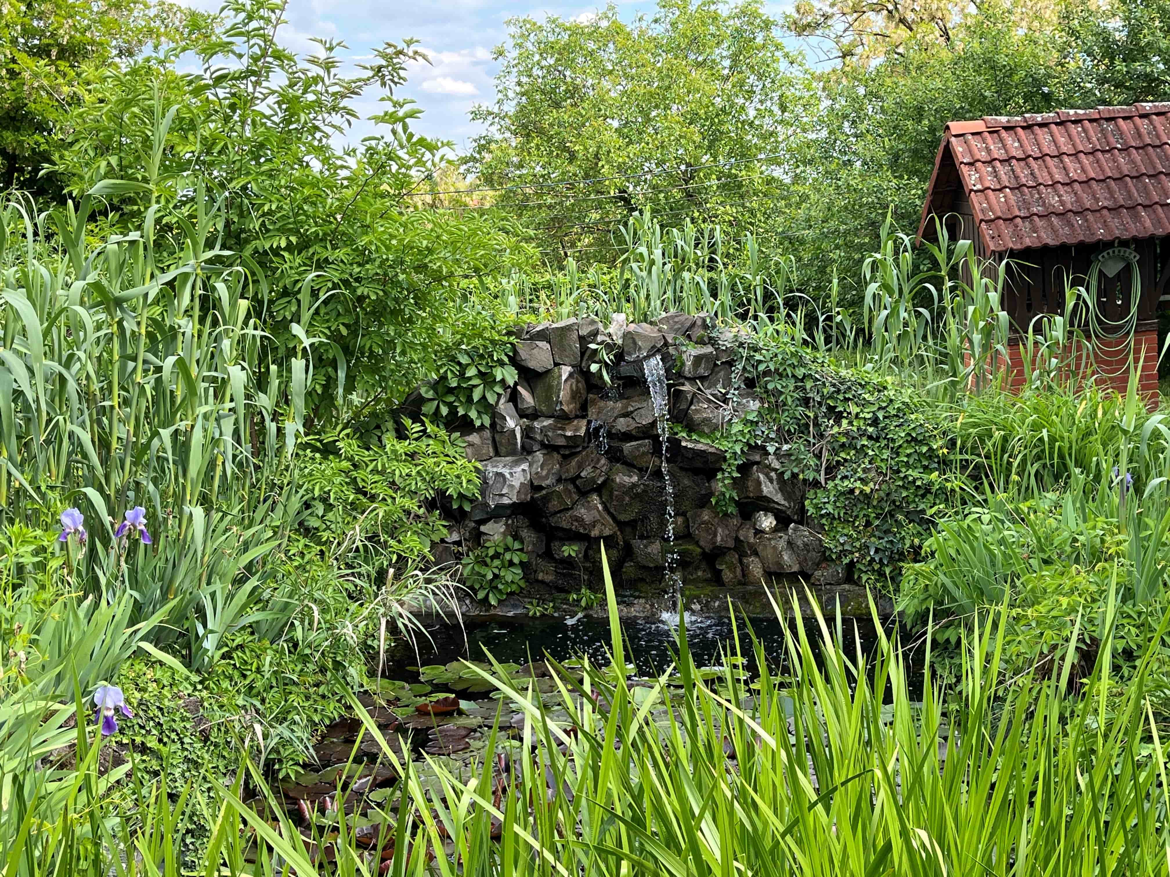 kerti to vizeses min